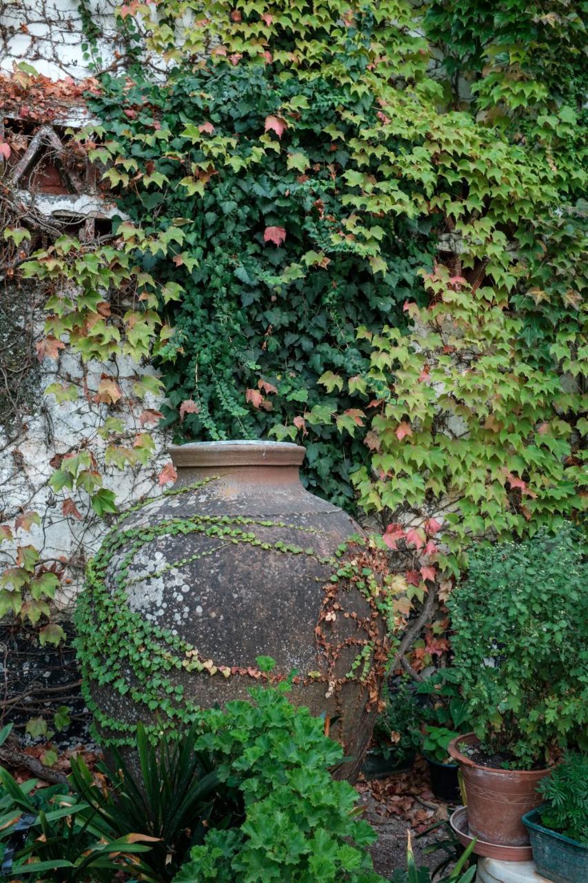 Vila Casa De Borba Exteriér fotografie