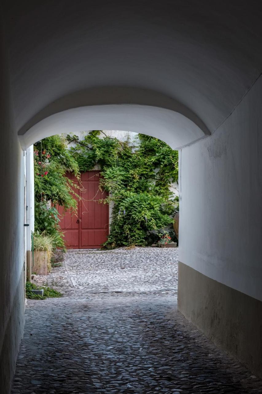 Vila Casa De Borba Exteriér fotografie